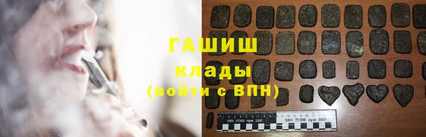 индика Нягань
