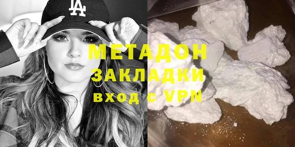 шишки Гвардейск