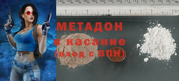 индика Нягань