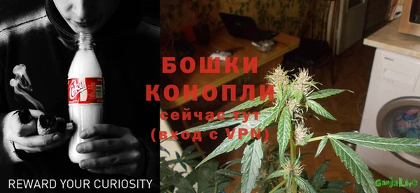 индика Нягань