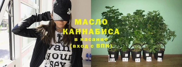 твердый Протвино