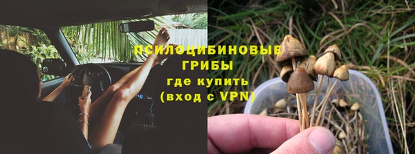 PSILOCYBIN Нязепетровск