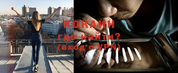 шишки Гвардейск